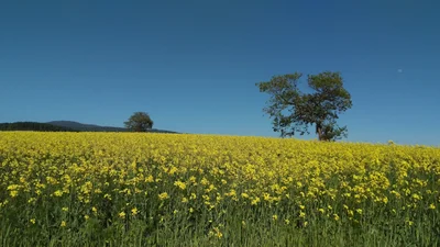 Takikawa - Photo 2