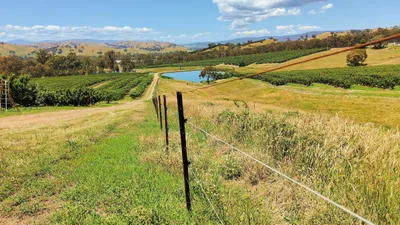Yarck - Photo 5