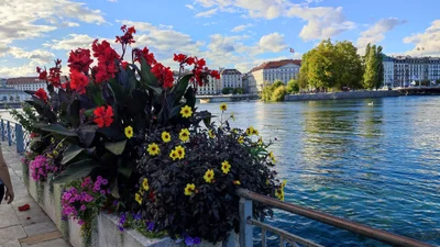 Geneva - Photo 3