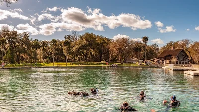 De Leon Springs - Photo 2