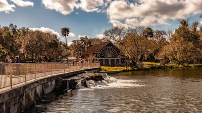 De Leon Springs - Photo 4