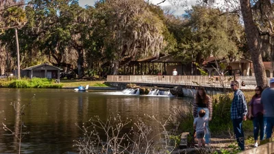 De Leon Springs - Photo 5