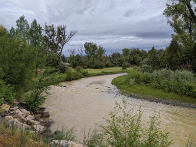 Ridgway - Photo 3