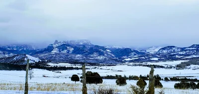 Ridgway - Photo 5