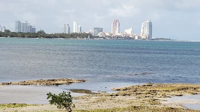 Key Biscayne - Photo 3