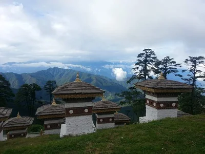Bagdogra - Photo 3