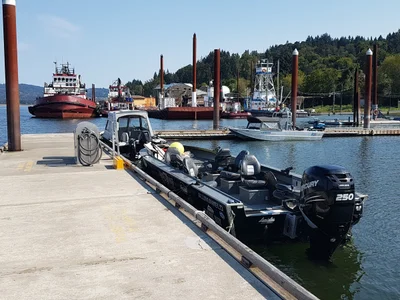 Rainier - Photo 4