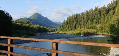 Quinault - Photo 3