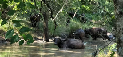 Lubombo District - Photo 2