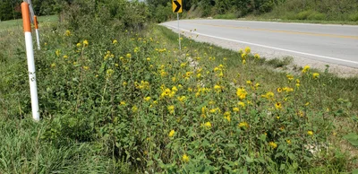 Baldwin City - Photo 3