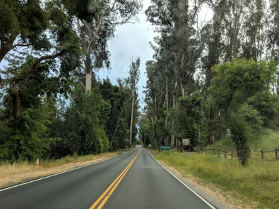 Woodside - Photo 3