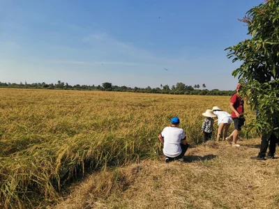 Suphan Buri - Photo 2