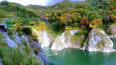Kosaka - Photo 4