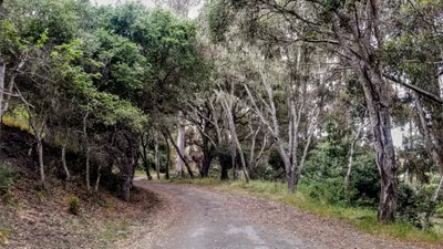 La Honda - Photo 2