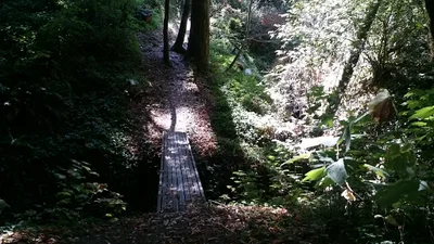 La Honda - Photo 3