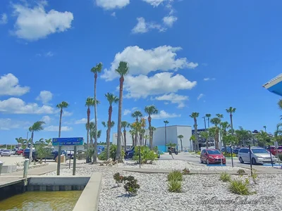 Ponce Inlet - Photo 4