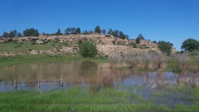 Pompeys Pillar - Photo 4