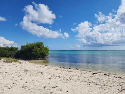 Little Cayman - Photo 4