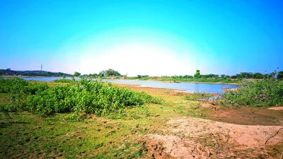 Tonk - Photo 3