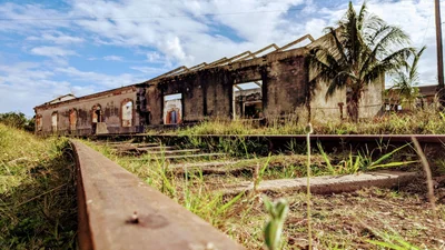 Mayabeque Province - Photo 3