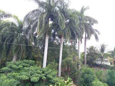 Guantanamo Province - Photo 2