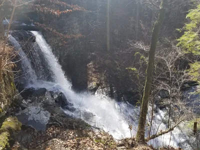 Pisgah - Photo 2