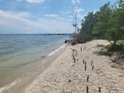 Piney Point - Photo 4
