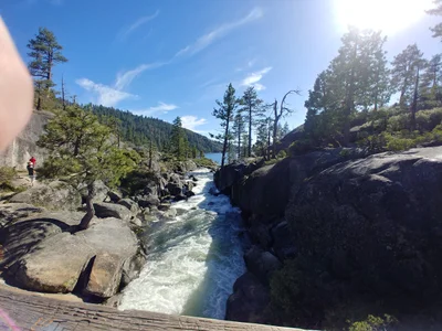 Pinecrest - Photo 2