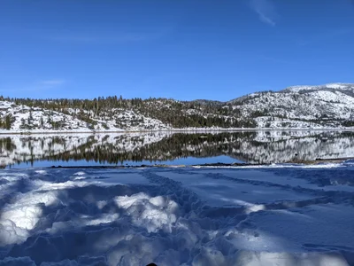 Pinecrest - Photo 3