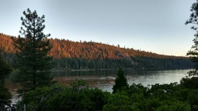 Pinecrest - Photo 4