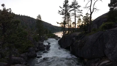 Pinecrest - Photo 5