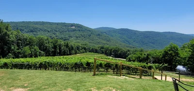 Gilmer County - Photo 3