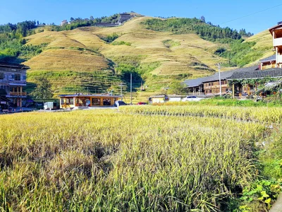Longsheng - Photo 3