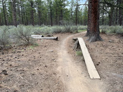 Phil's/Jim's Trail - Photo 2