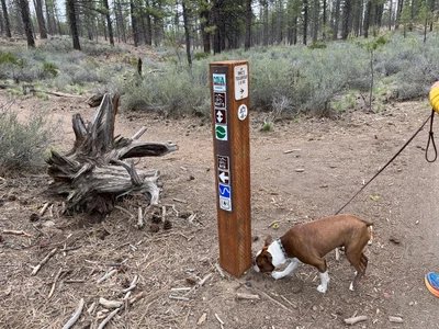 Phil's/Jim's Trail - Photo 3