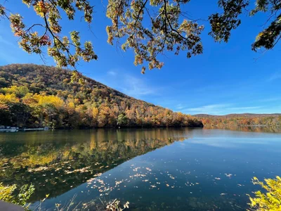Bear Mountain - Photo 2
