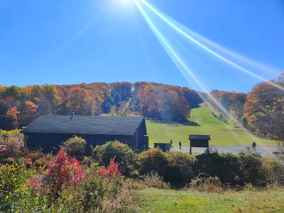 Bear Mountain - Photo 4