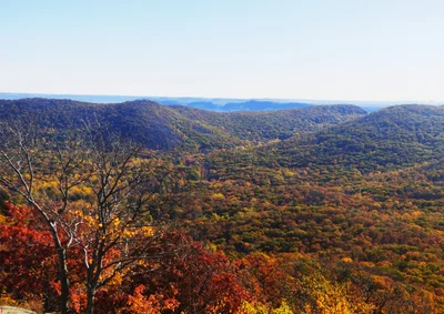 Bear Mountain - Photo 5