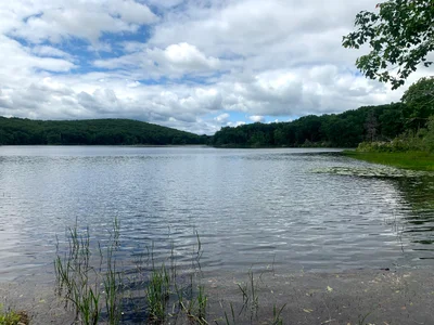 Pawling - Photo 2