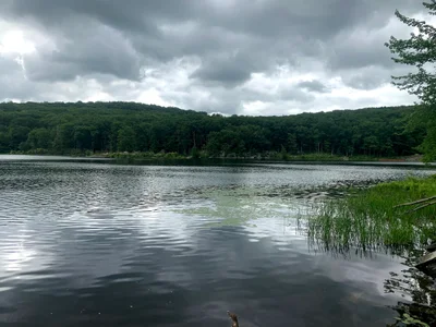 Pawling - Photo 5