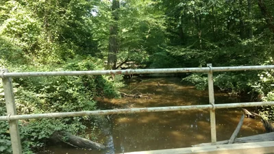 Beaverdam - Photo 2