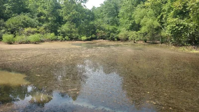 Beaverdam - Photo 3