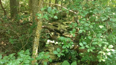 Beaverdam - Photo 4