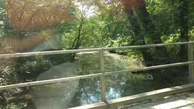 Beaverdam - Photo 5