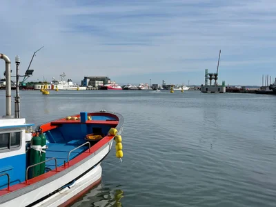 Pohang-si - Photo 3