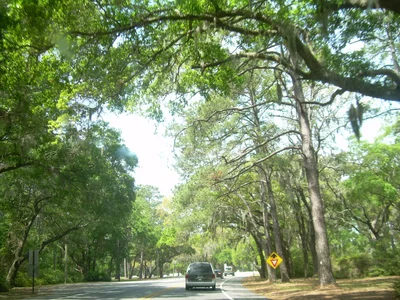 Parris Island - Photo 4