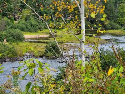 Saint-Mathieu-du-Parc - Photo 3
