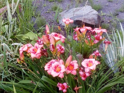 Saint-Jean-de-Matha - Photo 4
