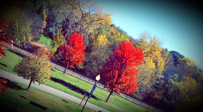 Faribault - Photo 4