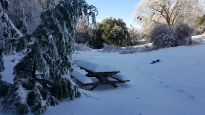Palomar Mountain - Photo 4